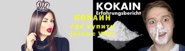 МДПВ Новозыбков