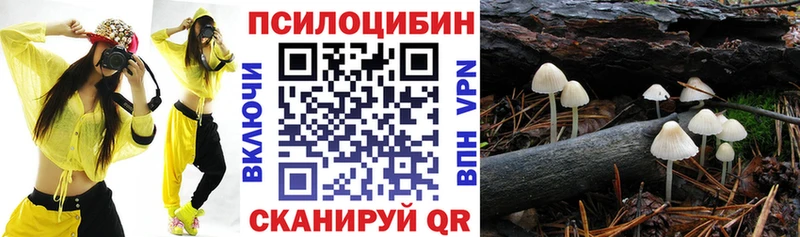 Галлюциногенные грибы MAGIC MUSHROOMS  Барнаул 