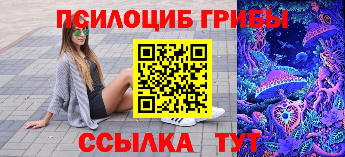 Барнаул  Галлюциногенные грибы Psilocybine cubensis  Вход с VPN 